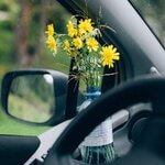 driving car and beautiful flower plant